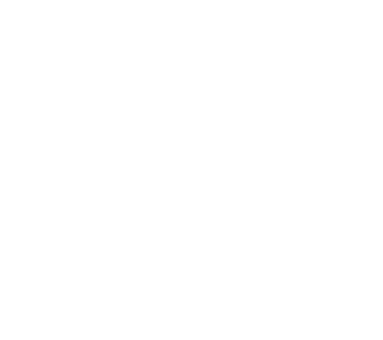 Satisfaction 100% Guaranteed-D.W Automotive Details